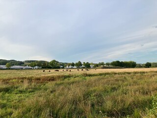 Fototapeta premium Abendstimmung in den Ruhrauen in Fröndenberg an der Ruhr