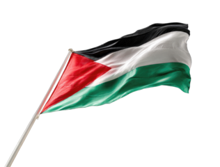 Palestinian flag waving in the wind