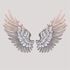 Obraz premium Elegant Angel Wings A Detailed Vector Illustration for Design & Inspiration