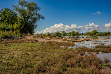 Naturschutzgebiet in der Nähe eines Gewässers zeigt üppige Vegetation und blauen Himmel