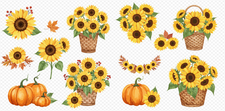 A beautiful watercolor collection of autumn elements, including vibrant sunflowers in baskets, orange pumpkins, and fall leaves, isolated on a transparent background.
