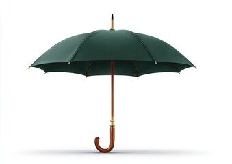 A dark green umbrella with a wooden handle is presented against a plain white backdrop.