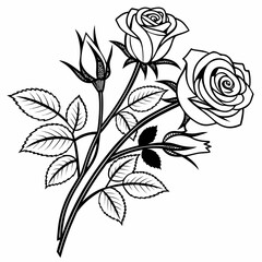  A bouquet of roses, clean black and white