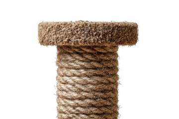 Close-up of a cat scratching post