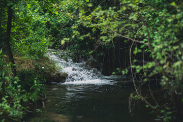 Obraz premium Rain forest with river and waterfalls