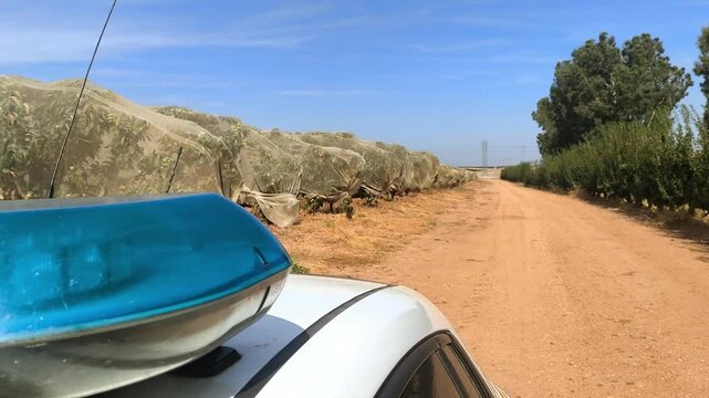 Vigilancia en campo de cultivo agr&iacute;cola de caquis con mallazo protector
