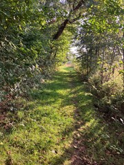 Abendstimmung in den Ruhrauen in Fröndenberg an der Ruhr