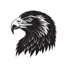 eagle vector silhouette outline sketch logo illustration