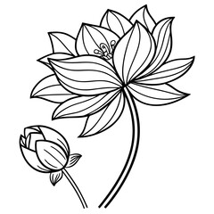 Floral mandala with lotus petals