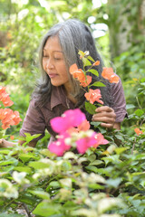 woman among the flowers