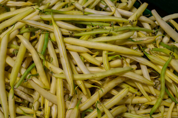 Fresh yellow string beans, vegetables arranged together. Seasonal natural product rich in vitamins and fiber, commonly used in healthy cooking and homemade meals