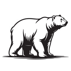 Fototapeta premium Black and white illustration of polar bear walking side view