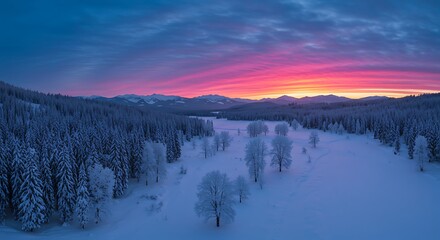 Arctic Twilights Fiery Glow Over a Vast, Snow-Covered Forest Wilderness.