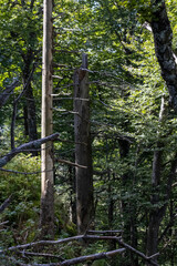 Weissenstein, Solothurn, Switzerland, September 2025