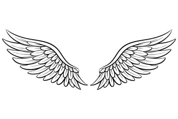 Obraz premium Angel Wings Vector Illustration – Detailed Feathered Wing Design for Tattoos and Logos