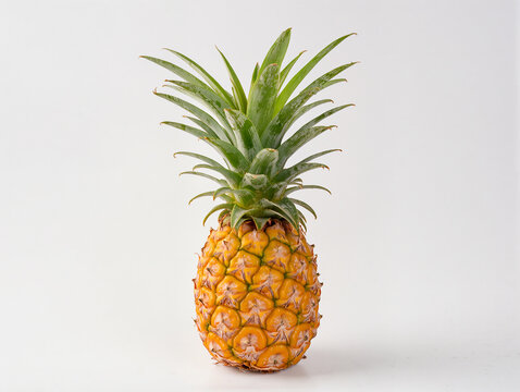 pineapple on a white background