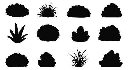 various plant silhouettes displayed in neat rows