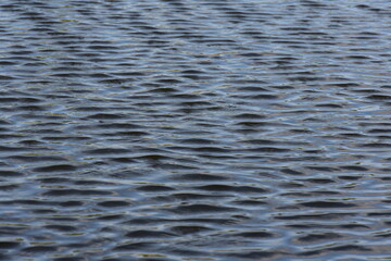Water ripples on the surface of the water. Shallow depth of field