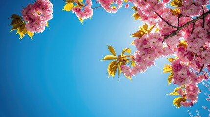 autumn leaves background