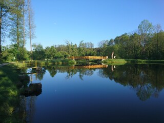 Obraz premium Sunny morning view of a calm pond with a wooden yellow bridge, green trees reflected on the water and a clear blue sky. Peaceful natural landscape.