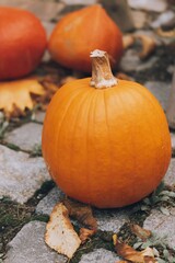 Pumpkins on Stone with Leaf Scatter