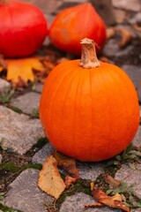 Autumn Pumpkins on Cobblestone Path