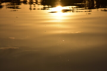 Sunset reflected in the water. Shallow depth of field