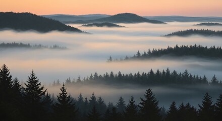 Fototapeta premium Misty mountain landscape with pine trees at sunrise.