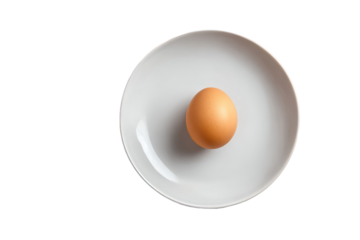 Single brown egg centered on a plain white plate