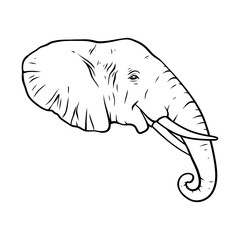 elephant head vector line art drawing illustration