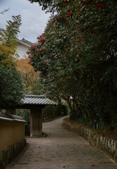 Kitsuki Samurai District in Kyushu, Japan