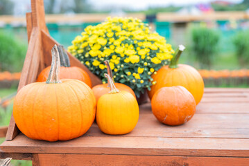 ripe pumpkins with autumn flowers decor on wooden table in october