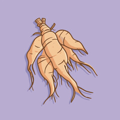  Brown ginseng root with roots on purple background.