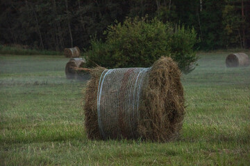 hay bales in the field