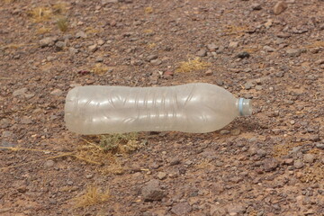 A plastic bottle lying on the ground, Plastic pollution, Plastic environmental impact