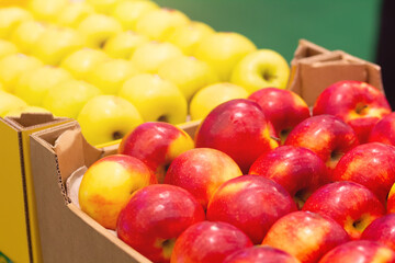 Red and yellow ripe apples in cardboard boxes on the counter market