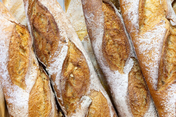 Baguettes in bakery close-up