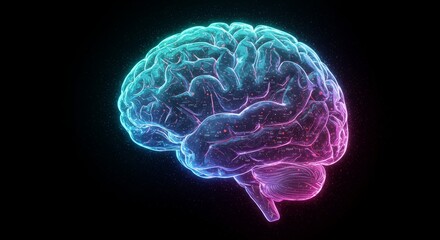 Illuminated Human Brain Anatomy