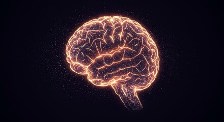Illuminated Human Brain Anatomy - Glowing abstract of a human brain, ideal for medical, science, or technology concepts
