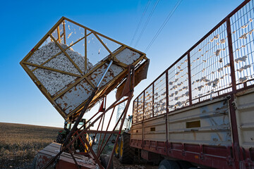 Agricultural technology, the cotton harvest in progress