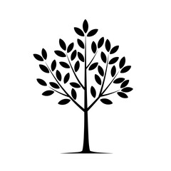 Obraz premium Black silhouette tree with leaves on white background 