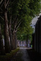 alley in the city park