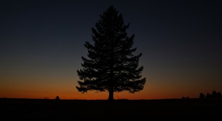 Silhouetted Tree at Sunset - A single tree stands in silhouette against a vibrant sunset sky, creating a serene and peaceful scene