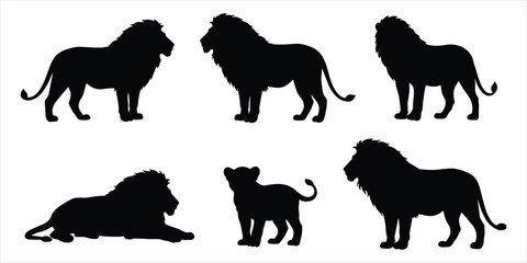 Collection of black lion silhouettes in various poses on white background animal wildlife © MdAbdur