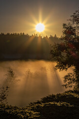 sunrise over the foggy field