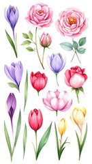 Fototapeta premium Watercolor floral arrangement (1)