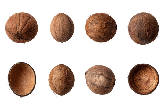 Nine whole and hollowed coconut halves, top-down view.  A close-up image of  brown coconut shells, displaying varied textures and patterns.  Each shell is a distinct, round shape.  