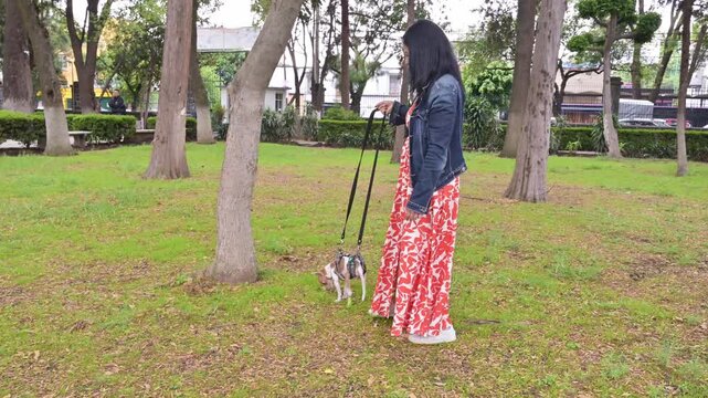 Woman walking paraplegic dog on grass during park stroll