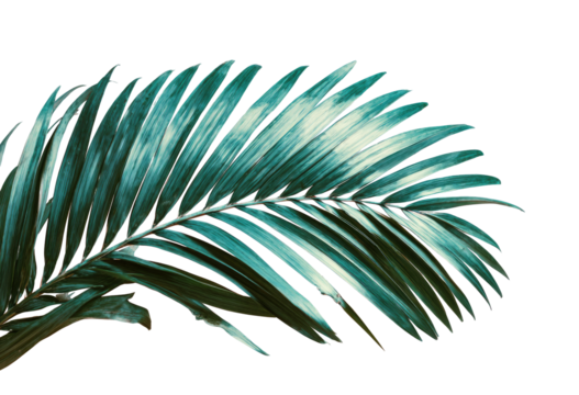 Close-up of a tropical palm frond. Lush teal-green fronds, with  fine, detailed veins, extend from the center - Powered by Adobe