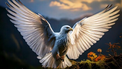 A stunning collection of digital artwork featuring majestic animals, wildlife portraits, scenic landscapes, fantasy wings, sea creatures, and creative artistic illustrations for stock use.